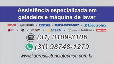 "Líder Assistência Técnica"